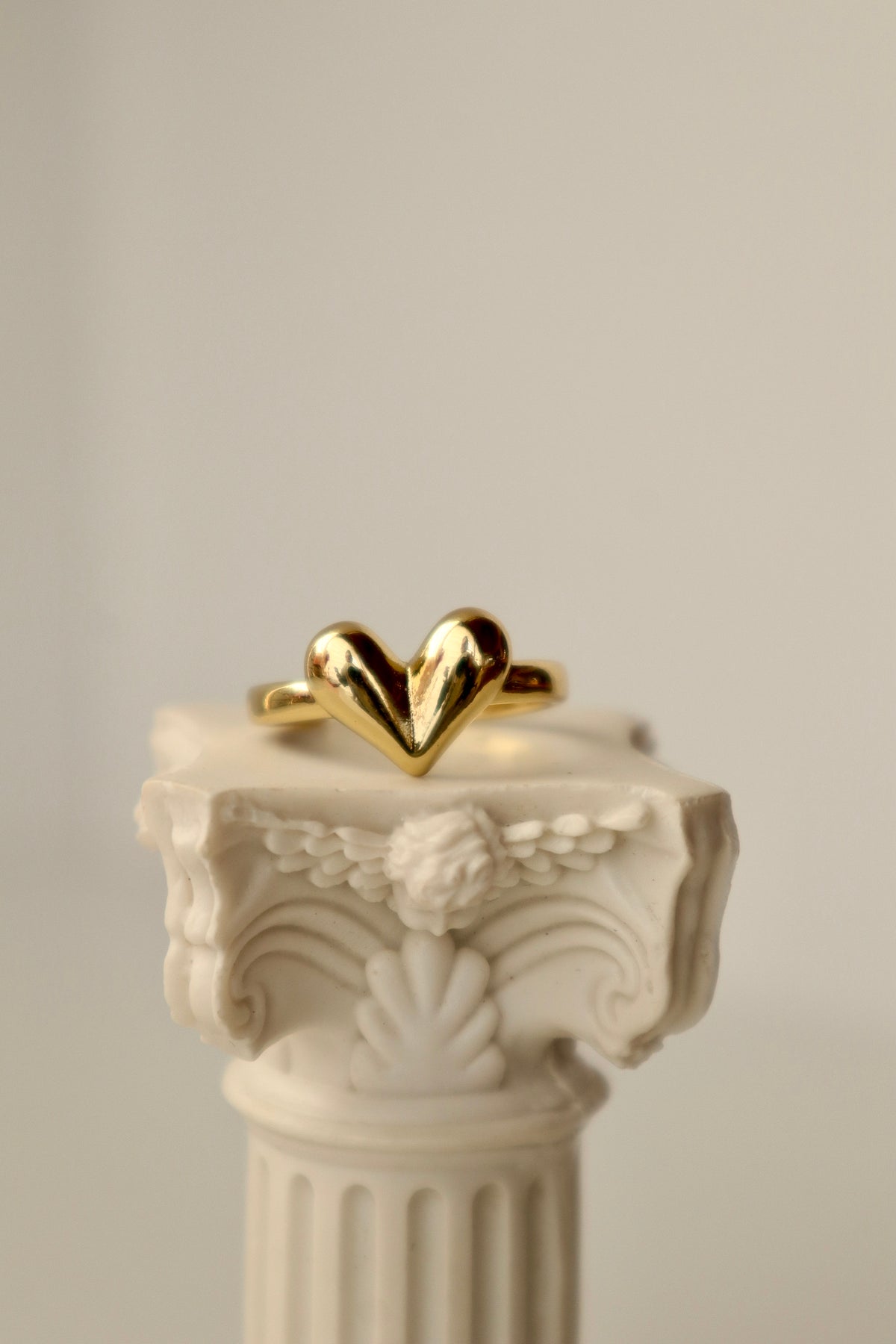 Anillo Latido