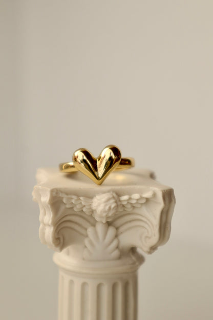 Anillo Latido