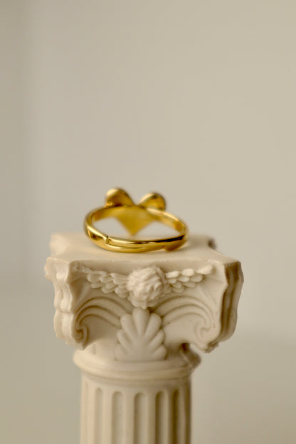 Anillo Latido