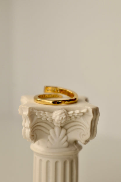 Anillo Esencia